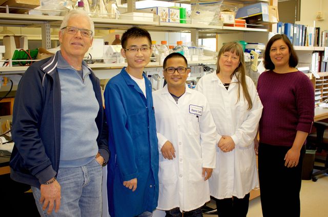 UCLA’s Leonard Rome, Meng Wang, Danny Abad, Valerie Kickhoefer and Shaily Mahendra discovered that nanoscale “vaults” containing enzymes were effective at cleaning polluted water